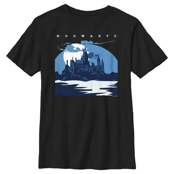 Boy's Harry Potter Hogwarts at Night Graphic Tee Black Large