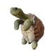 thumbnail image 5 of Maceta Colgante De Tortuga Para Pecera, Patio Trasero, 5 of 9
