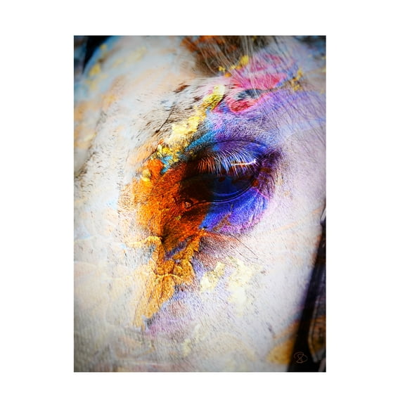 Trademark Fine Art Ruth Day Painted Horse Canvas Wall Art