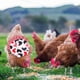 thumbnail image 4 of Ganfancp 2022 Silla de Aves para Gallinas Delantal de Pollo con Correa Elástica Chaqueta de Pollo con Correa Protector de Aves Fijador de Plumas de Gallina Elegante Disfraz para Espectáculos Ajuste L, 4 of 5