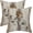 Brown Daisy, variant on Spring Pillow Covers 18x18 Pack of 2 Blue Green Hydrangea Floral Decorative Throw Pillow Covers Outdoor Summer Seasonal Flower Decor Pillowcase Farmhouse Linen Cushion Case for Home Couch