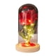thumbnail image 4 of Lámpara de Botella LED, Hermosa Lámpara de Botella decorativa para el día de San Valentín, 4 of 8