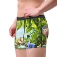 thumbnail image 2 of Lsque Pikmin Pattern Men’s Total Support Pouch Boxer Briefs, X-Temp Cooling, Moisture-Wicking Underwear, Regular, Long-leg and Trunk-Medium, 2 of 7