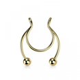 thumbnail image 1 of Piercing magnético de acero inoxidable para mujeres, hombres y niñas, anillo de nariz falso, Clip de nariz, joyería de moda, regalo, 1 of 4