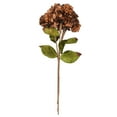 thumbnail image 2 of Vickerman 17" Artificial Mocha Hydrangea Christmas Spray, 3 per bag, 2 of 4