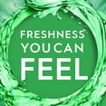 thumbnail image 4 of Crest Premium Plus Scope Whitening Toothpaste with Mouthwash Stripes, Minty Fresh, 5.2 oz, 4 Pack, 4 of 9