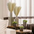 thumbnail image 4 of Faux Pampas Grass-pampas Grass Decor-artificial Pampas Grass Ramas Afortunado Sencillez, 4 of 5