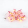 thumbnail image 2 of ZHMRFG 118.1In Easter Bunny String Light Pink Plastic Bunny & Carrot Shape Ambient Glow Sturdy Reusable No Wire Decor Party Favors For Terrace Balcony Camping Family Party Easter Holiday Decoration, 2 of 9