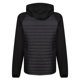 thumbnail image 2 of Regatta - Chaqueta Híbrida Navigate Acolchada para Hombre (Negro, Real New), 2 of 3