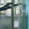 thumbnail image 3 of Alimentador Rojo Transparente para Acuario Ventosa Recipiente para Alimentación de Peces Accesorio Comederos Automáticos Alimentador de Peces ANGGREK Otros, 3 of 8