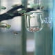 thumbnail image 5 of Alimentador Rojo Transparente para Acuario Ventosa Recipiente para Alimentación de Peces Accesorio Comederos Automáticos Alimentador de Peces ANGGREK Otros, 5 of 8