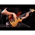 thumbnail image 3 of Cort Jeff Berlin Rithimic 4 Bass Guitar, 3 of 3