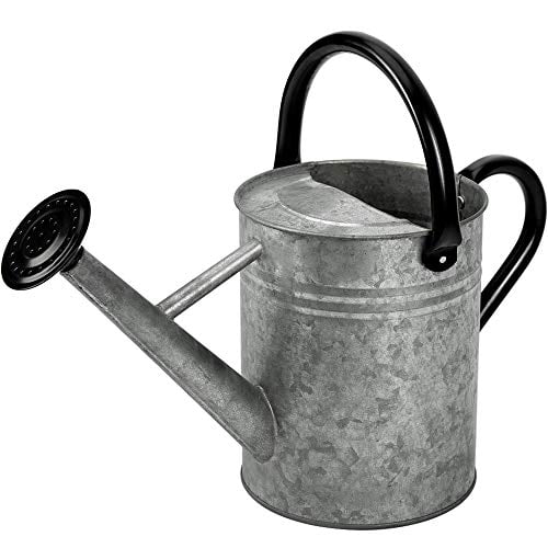 Cesun Metal Watering Can Galvanized Steel Watering Pot for Outdoors Gardening Bronze 1 Gallon for Outdoors Gardening