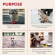 thumbnail image 4 of 4 piezas de zapatos para perros, botas para perros, protector de patas con correas reflectantes, botines antideslizantes para perros pequeños y medianos (rojo), 4 of 5