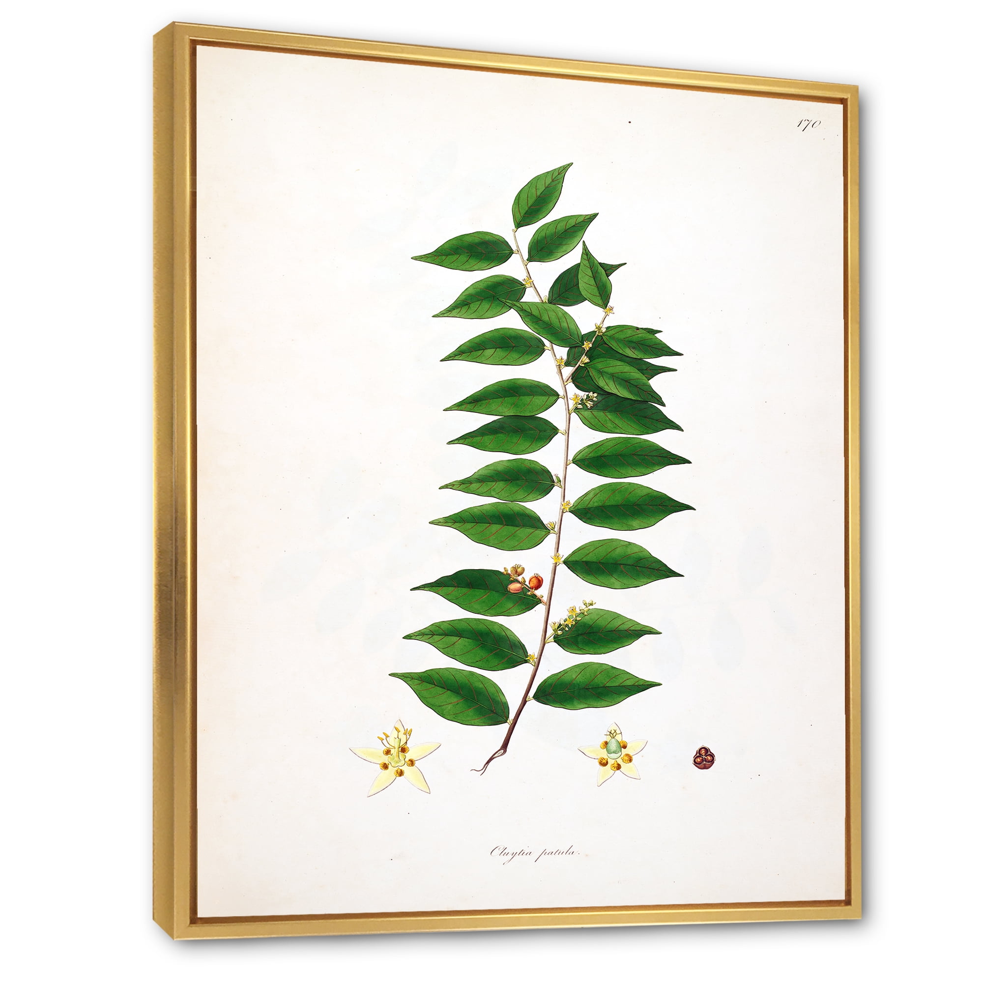 Designart 'Ancient London Plants VI' Farmhouse Framed Canvas Wall Art Print