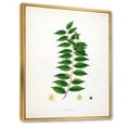 thumbnail image 3 of Designart 'Ancient London Plants VI' Farmhouse Framed Canvas Wall Art Print, 3 of 5