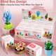 thumbnail image 2 of Building Blocks serie OundArm Succulents Blind Box Box, 2 unidades, 2 of 6
