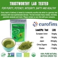 thumbnail image 2 of Organic Matcha Green Tea Powder Culinary Grade (3.53OZ), Suit for Cooking, Baking, Candy by EFOOFAN, 2 of 10