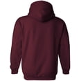thumbnail image 4 of Star Labs Hoodie - Star Laboratories Hooded Sweatshirt, 4 of 5