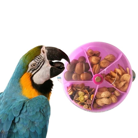 Mangeoire pour perroquets Grilles de roue rotatives créatives Suspendues  Nourriture Jouet Mangeoire à oiseaux