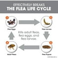 thumbnail image 2 of FRONTLINE Plus Flea and Tick Treatment for Dogs (Small Dog, 5-22 Pounds, 6 Doese), 2 of 5