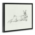 thumbnail image 3 of Stupell Industries Traditional Jumping Rabbit Sketch Black Floating Frame Canvas Art, 21 x 17, by Ethan Harper, 3 of 8