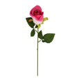 thumbnail image 2 of NANDIYNZHI Preserved Red Real Rose, Single Rose, Classic Style, 1 Count, Indoor, 1 Rose, Living Room, Bedroom, Bathroom, Kitchen, 2 of 4