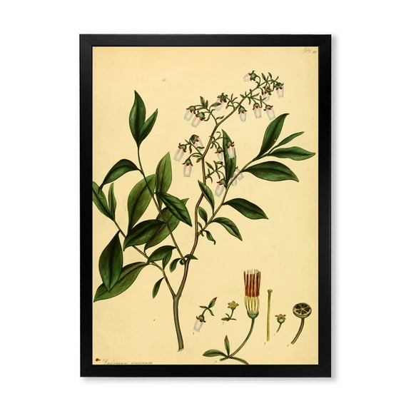Designart 'Ancient Plant Life V' Traditional Framed Art Print