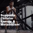 thumbnail image 4 of Men's Multivitamin - Vitamin D, Zinc, Folic Acid, and B Vitamins - for Energy, Focus and Immune Health - 120 Count, 4 of 8