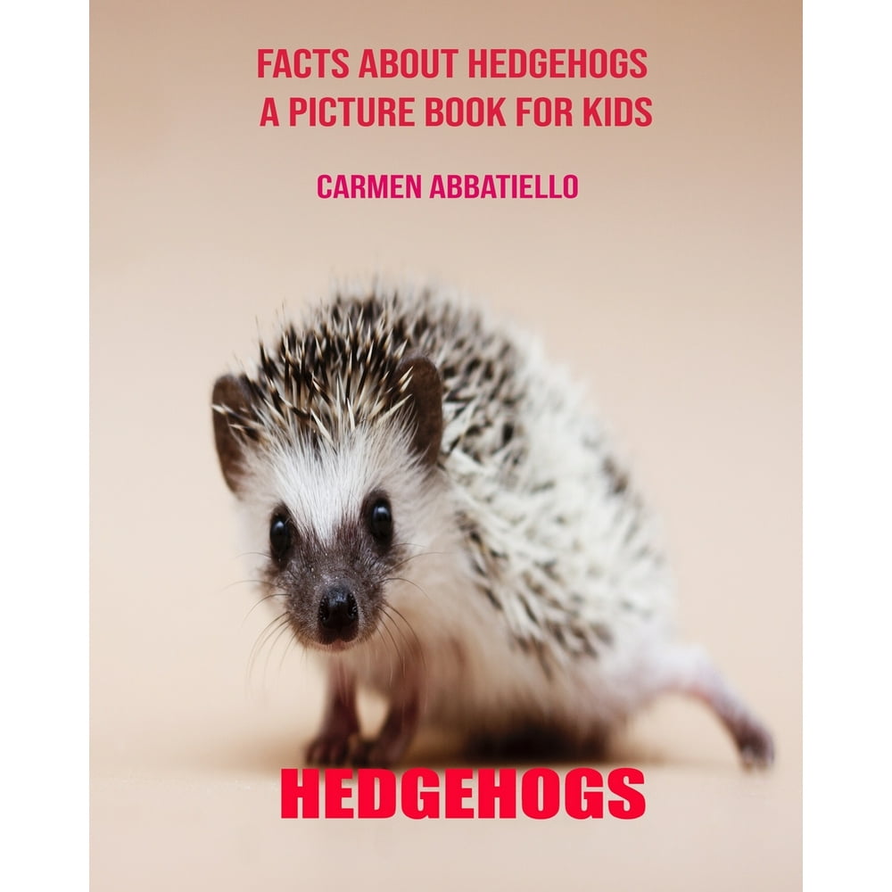 Facts About Hedgehogs A Picture Book For Kids (Paperback) - Walmart.com ...