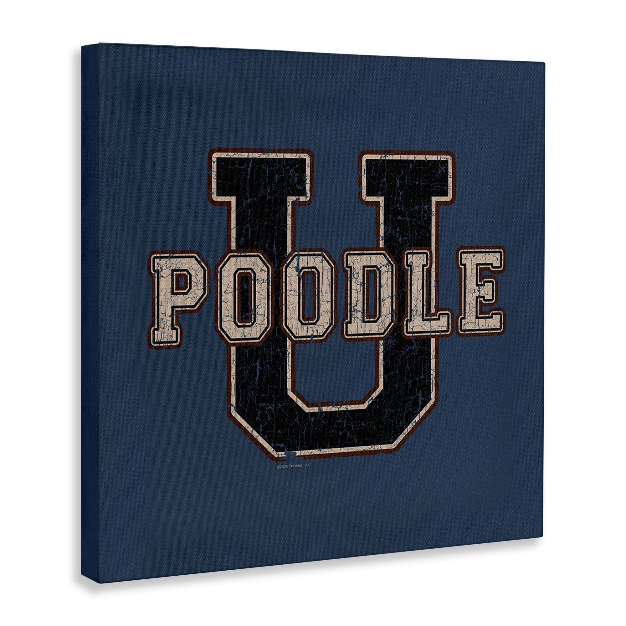 Stupell Industries Varsity Poodle U Novelty & Humor Painting Wrapped Canvas Art Print Wall Art, 36 x 36
