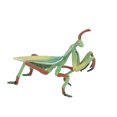 thumbnail image 4 of Insects Toy, Environmental Safe Growth Cycle Model, Odorless for Teaching Activities Education Children Playing, 4 of 7