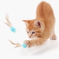 thumbnail image 4 of Bola interior del silicón del gato del juguete del animal doméstico de la bola del gato de la pluma del juguete del gato del juguete del gato, 4 of 5