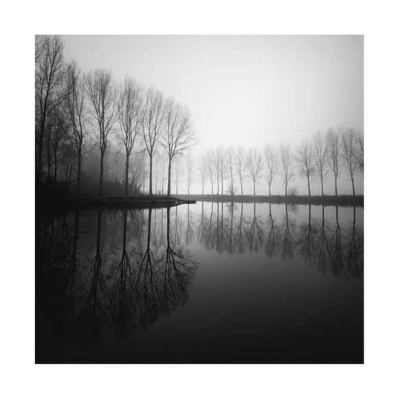 Trademark Fine Art Christophe Staelens In Dreams Canvas Wall Art