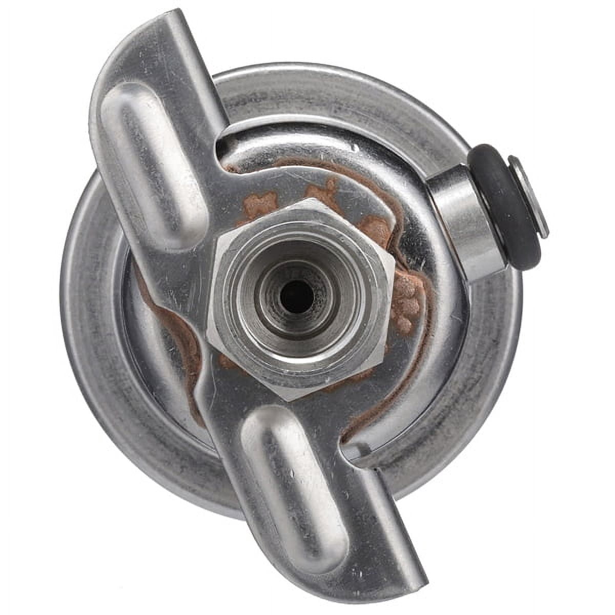 Delphi FP10509 Fuel Injection Pressure Regulator Fits select: 1989 PONTIAC FIREBIRD, 1988-1991 BUICK LESABRE