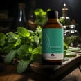 thumbnail image 3 of Scentinal Premium Essential Oil - 100% Pure, Natural & Authentic - Extra Large 4oz Bottle (120ml) with Eyedropper - Refreshing Aromatherapy Experience (Peppermint, 4 oz / 120ml), 3 of 8