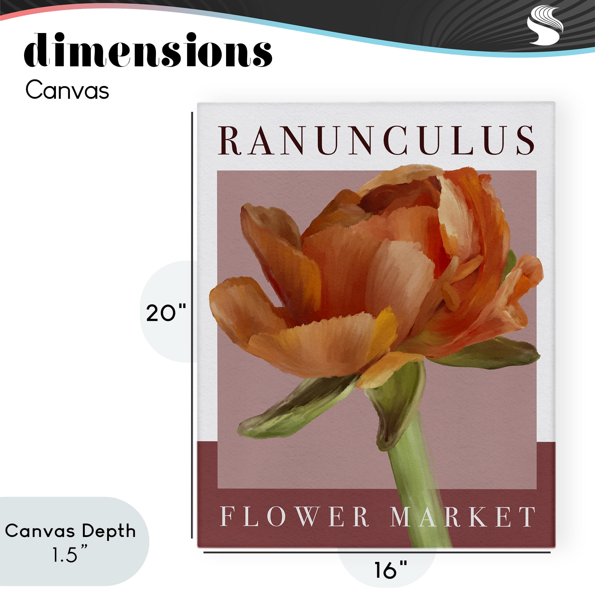 Stupell Industries Ranunculus Flower Market Canvas Wall Art, design by Jennifer Stith
