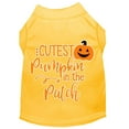 thumbnail image 3 of Halloween Pet Dog  Cat Shirt Screen Printed, "Cutest Pumpkin In The Patch", 3 of 10