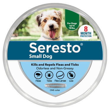 Vibrant Life Dog Ear Wipes With Aloe 30 Count Walmart Com