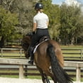 thumbnail image 6 of Equinavia Maud Womens Mid Rise Silicone Knee Patch Breeches, 6 of 8