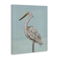 thumbnail image 2 of Stupell Industries Tropical Coastal Heron Muted Blue Canvas Art, 16 x 20, by Julie DeRice, 2 of 8