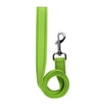 thumbnail image 4 of Fancy Pets. Set de Arnés y Correa Tamaño Grande, para Perro, Verde, 4 of 4