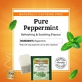 thumbnail image 5 of Twinings Pure Peppermint Herbal Tea Bags, Caffeine-Free, 100 Count Box, 5 of 8