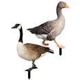 thumbnail image 2 of Garden Insert Decoration Duck Stakes Acrylic 2Pcs, 2 of 8