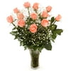 Mother's Day Coral Pink Roses
