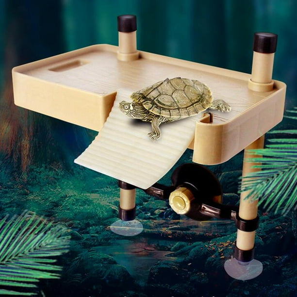 Tortoise habitat accessories 2025