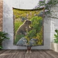 thumbnail image 3 of Olympic Marmot Wildlife, Olympic Np, Wa - Us48 Rsc0392 - Roddy Scheer, Woven Blanket, 3 of 4