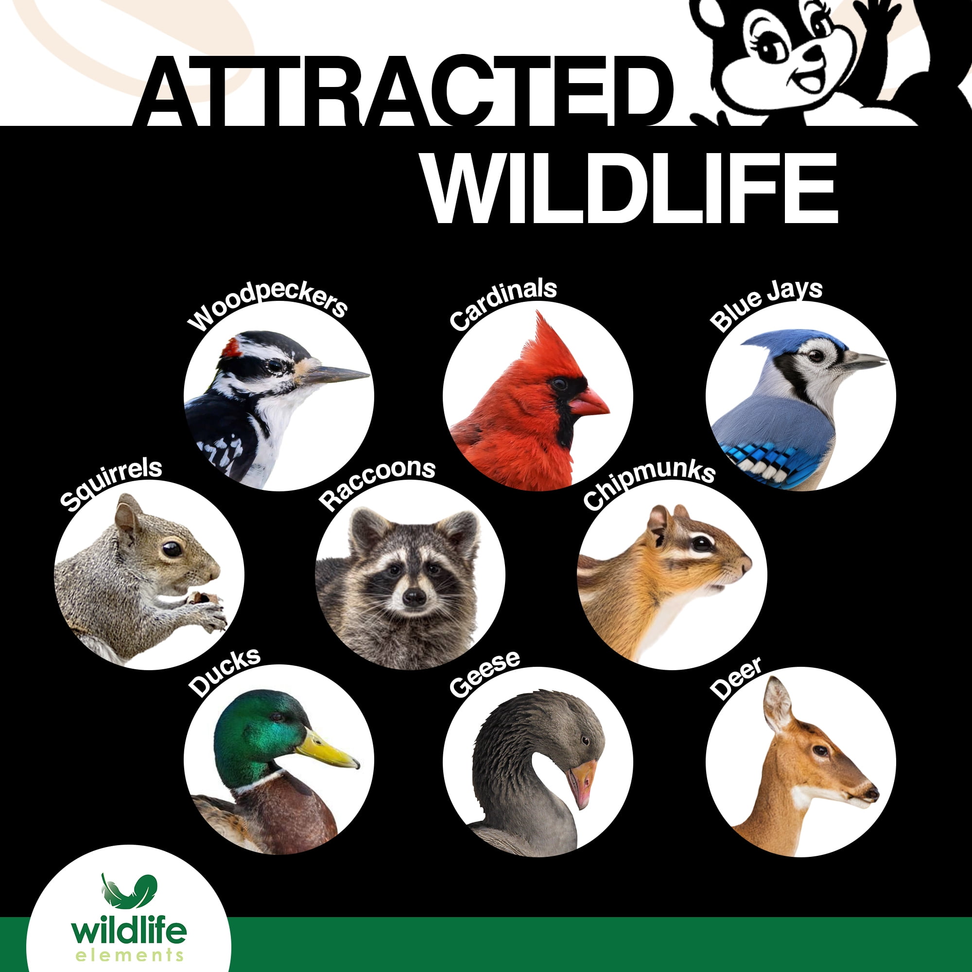 Wildlife Elements Peanut Party Unprocessed, Shelled Peanuts Wildlife Animal Food, 25lb - Rich in Protein, Healthy Fats, and Essential Nutrients for Birds, Squirrels & Waterfowl