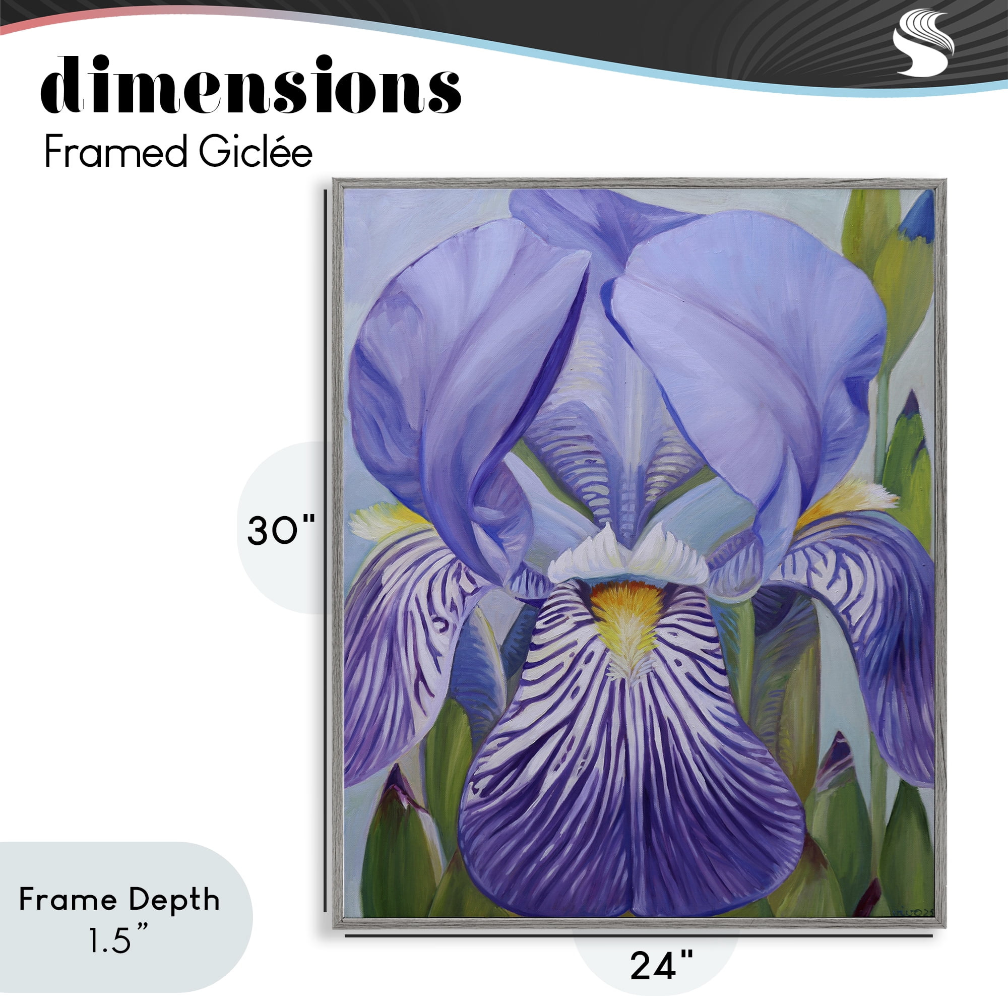 Stupell Industries Blooming Purple Iris Petals Gray Framed Giclee Art, design by Violeta Vollmer