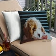 thumbnail image 1 of Ahgly Company Dogs Dogs Coussin Extérieur, 18 Pouces par 18 Pouces, 1 of 6